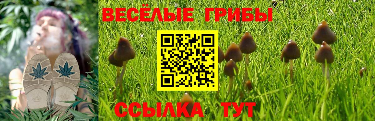 Новодвинск  Псилоцибиновые грибы мухоморы  Галлюциногенные грибы MAGIC MUSHROOMS  Вход с VPN 