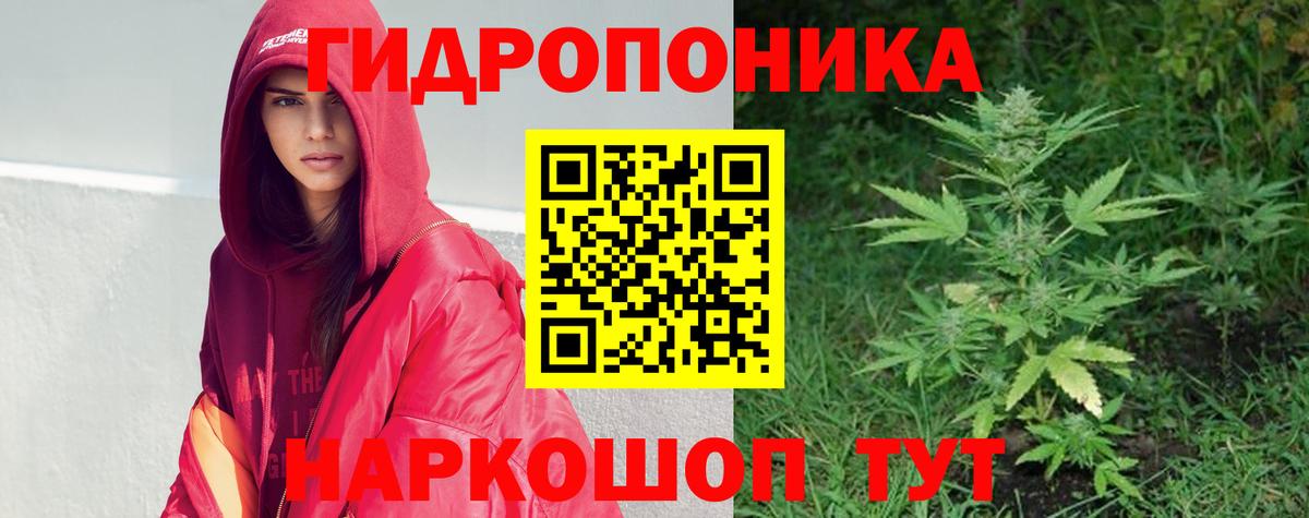 Новодвинск  Каннабис гибрид  Вход с VPN  Марихуана LSD WEED  Бошки марихуана сатива 